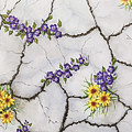 Jewels of the Desert